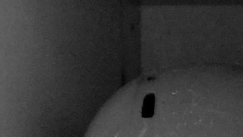 Las sospechas de que el campeonato estaba "en la bolsa" solo aumentaron después de que los White Sox y los Reds se enfrentaron el 1 de octubre para el primer juego de lo que entonces era una Serie Mundial al mejor de nueve.