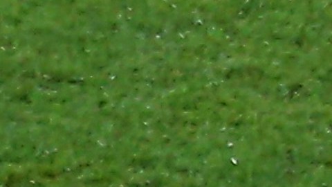 El exjugador se quebró en llanto al momento de revelarla.
