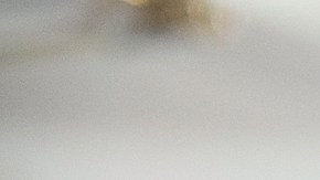 VANCOUVER, BC - DECEMBER 03: A general atmosphere view during Versace & Vogue celebrate the launch of Versace Vancouver Boutique on December 3, 2015 in Vancouver, Canada. (Photo by Andrew Chin/Getty Images for Vogue)