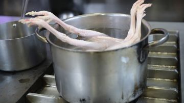 FDA pide no cocinar pollo en NyQuil y alerta de los peligrosos desafíos de las redes sociales