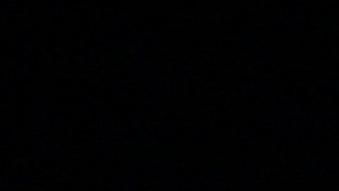 Judith Miller es una periodista y escritora estadounidense.