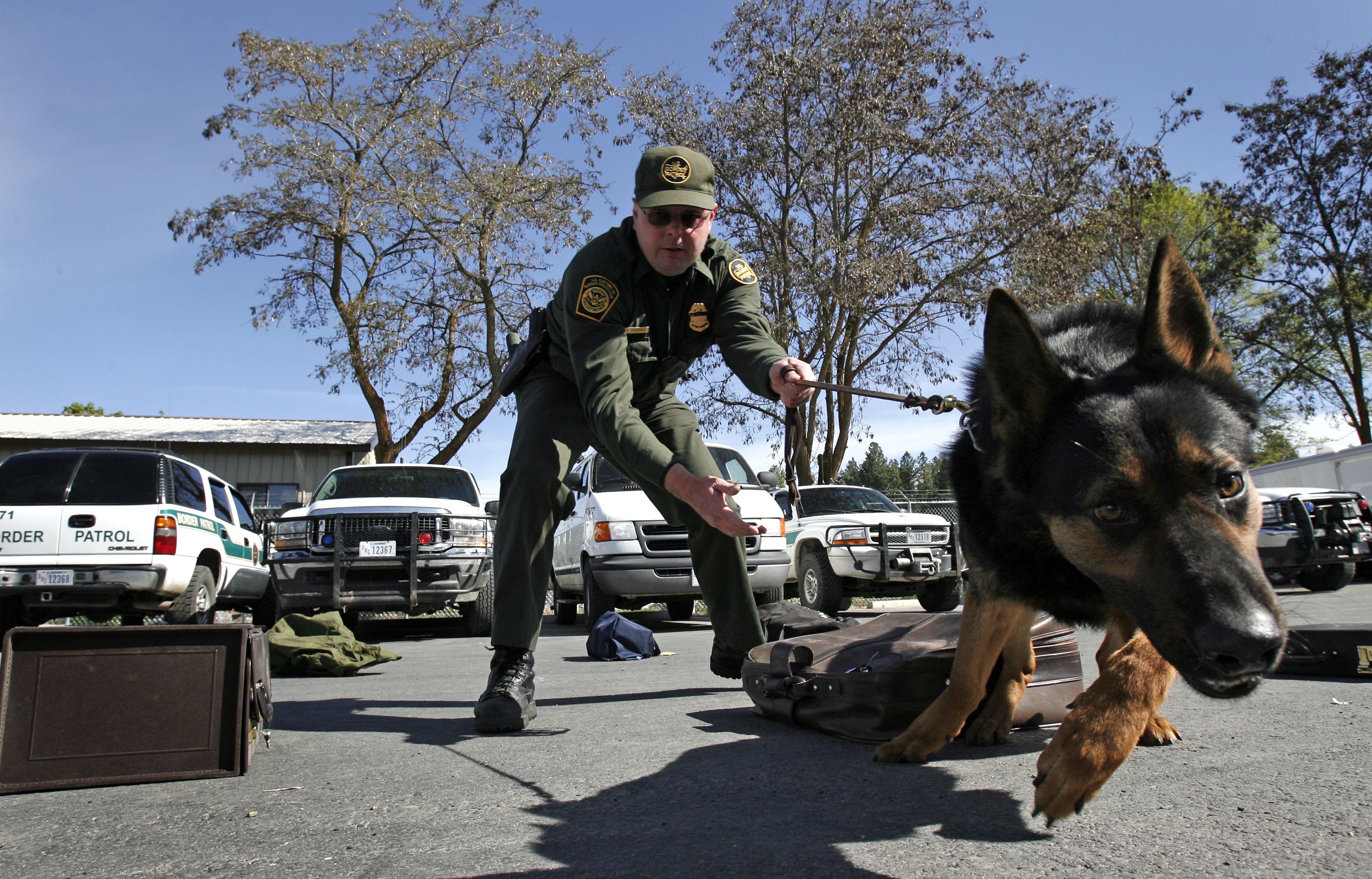 K-9 Corps\, image size:3000x1922