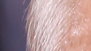 Los últimos acontecimientos en Ucrania generaron reacciones del jefe del Kremlin, que incluyen movilización de más tropas y discursos que aluden al uso de armamento nuclear.