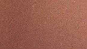 Genio a sus de 11 años, niño con autismo tiene un coeficiente superior al de Stephen Hawking y Albert Einstein