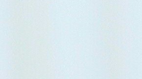 Tom Brady y Gisele Bündchen.