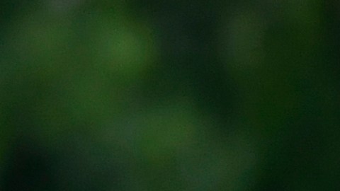 Rafa Márquez en su etapa como jugador en la Selección de México.