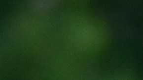 Rafa Márquez en su etapa como jugador en la Selección de México.