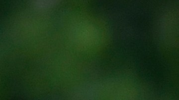 Rafa Márquez en su etapa como jugador en la Selección de México.