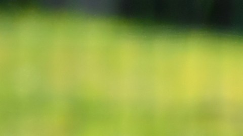 El mediocampista mexicano ya no estará con el mismo entrenador en la MLS.
