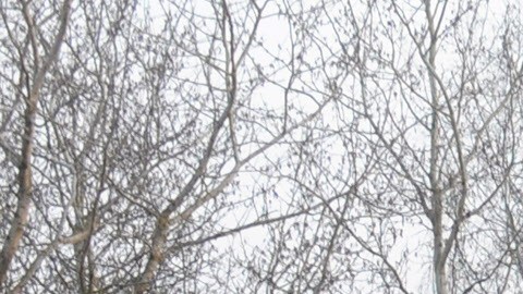 El combustible de uno de los aviones estalló en una enorme bola de fuego tras el impacto