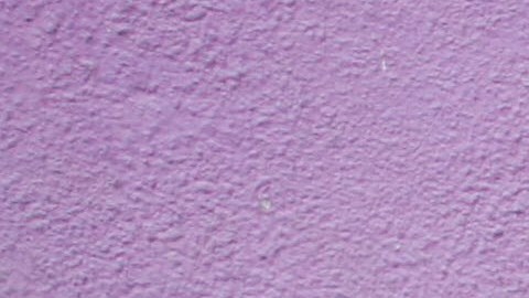 Roch Thériault era un hombre con una misión: salvarse a sí mismo y a sus seguidores del apocalipsis que se avecinaba.