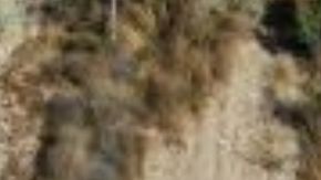 Hombre pierde los dedos por buscar a su esposa e hija que cayeron en un socavón