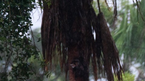 Huracán Ian ha dejado cientos de muertos sólo en Fort Myers y a 2.5 millones sin electricidad