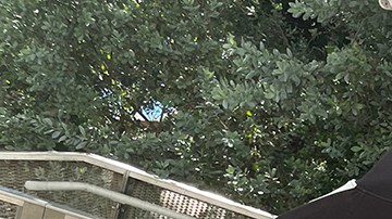 Gaby Espino junto a Alina Villasante creadora de 'Peace Love World'