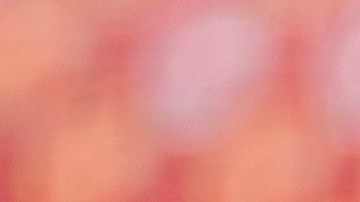 La jugadora pidió respeto a los aficionados.