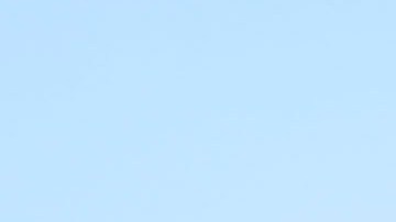 Mundial de Qatar 2022: ¿Cuáles son los futbolistas mexicanos que faltan en el álbum Panini y cuáles sobran?