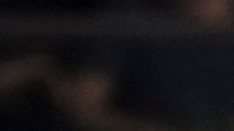 El jugador buscará tener minutos en cancha.