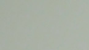 Herrera y Chicharito militan en la MLS.