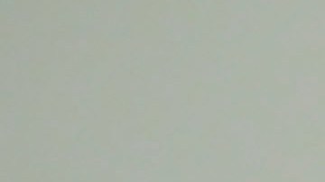 Herrera y Chicharito militan en la MLS.