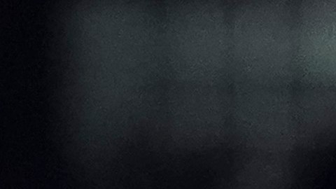 Dani Alves junto a sus compañeros de Pumas.