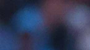 Los jugadores están fuera de la convocatoria felina.