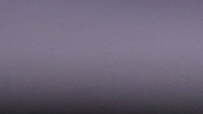 Alejandro Zendejas, jugador de las Águilas del América.