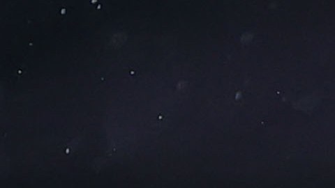 Henry Martín, goleador y protagonista del gran momento de las Águilas del América.