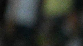 Jonathan dos Santos festeja su gol.