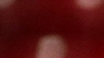 El brasileño se perderá varios meses de acción.