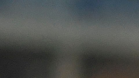 El equipo felino tiene un buen pie su andar en México.