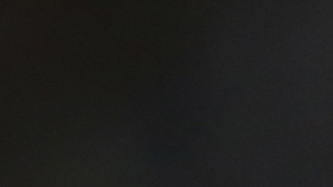 El entrenador mexicano no quiere volver a dirigir a la selección.