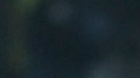 Chivas podría hacer su próxima pretemporada en España.