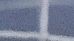 Águilas del América