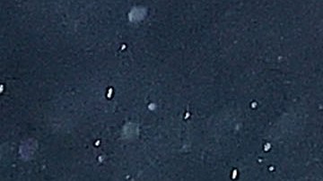 El jugador rompió el silencio y habló sobre la hinchada de Cruz Azul.