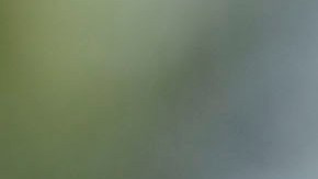 El equipo mexicano espera llevarse la victoria ante Colombia.