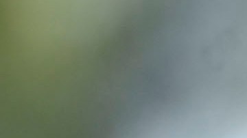 El equipo mexicano espera llevarse la victoria ante Colombia.