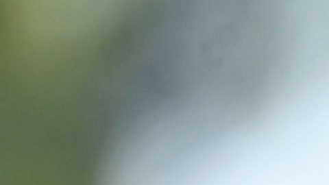 El equipo mexicano espera llevarse la victoria ante Colombia.