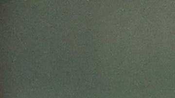 José Manuel 'Chepo' de la Torre, entrenador mexicano.