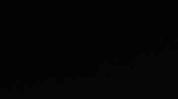 Hasta $15,000 dólares pagaban los inmigrantes para ingresar a Estados Unidos