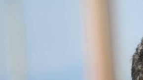 Juan Pablo Escobar Henao