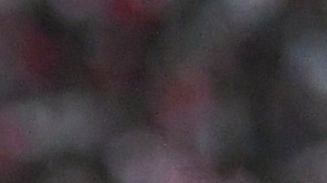 Juanfer Quintero jugador colombiano de River Plate.