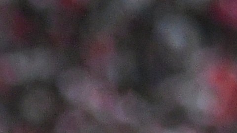Juanfer Quintero jugador colombiano de River Plate.