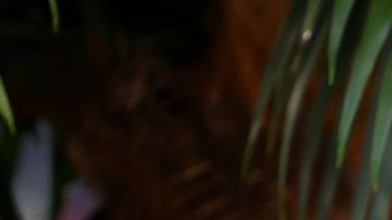 Julia Roberts | Getty Images