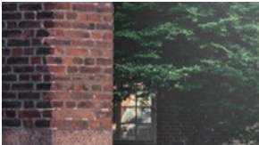 El Kia EV6 2022 comienza a tomar terreno dentro del mercado estadounidense