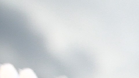La Liga MX se prepara para la última jornada del Torneo Apertura 2022.