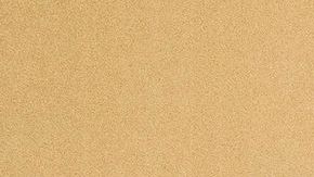 La causa de la muerte de la reina Isabel II fue revelada después de que publicaron su certificado de defunción