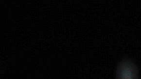 La ex de Scottie Pippen estaría saliendo con uno de los hijos de Michael Jordan.