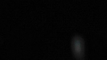 La ex de Scottie Pippen estaría saliendo con uno de los hijos de Michael Jordan.