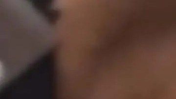 León africano paseando en camioneta