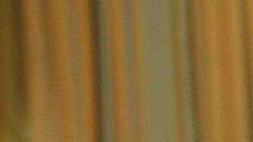 Liliana Rodríguez | Mezcalent